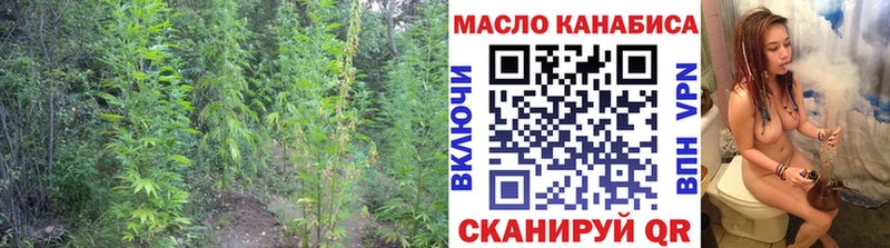 ТГК гашишное масло  где продают   KRAKEN   Заозёрск 